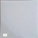 Vinyl Record New Order - True Faith LP - img.2