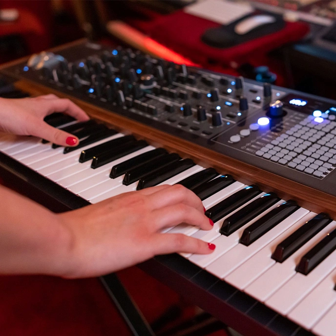 Synthesizer Arturia PolyBrute - img.7