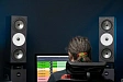 Studio monitor Amphion Two18 Black - img.26