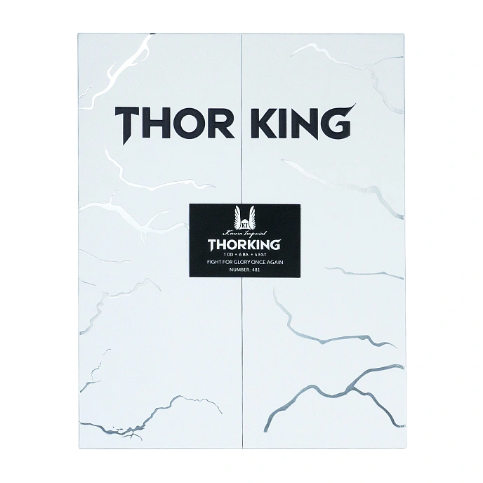 In-ear headphones Kinera ThorKing Matte Silver - img.10