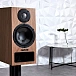 Bookshelf speakers PMC Active twenty5 22i walnut (pair) - img.5