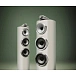 Floorstanding Speakers Bowers & Wilkins 804 D5 Light Walnut - img.4