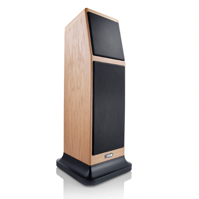 Floorstanding Speakers Canton Ergo GS Oak (1pc) - img.1