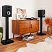Bookshelf speakers Polk Audio Monitor XT20 Black - img.7