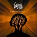 Vinyl Record Gojira – L'Enfant Sauvage (coloured) - 2LP - img.0