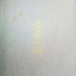 Vinyl Record Wet Leg - Moisturizer LP - img.6