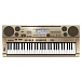 Synthesizer Casio AT3 Gold - Arabic Keyboard - img.1 Synthesizer Casio AT3 Gold - Arabic Keyboard - img.1