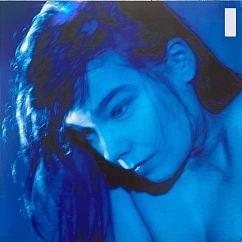 Vinyl Record Bjork - Telegram - 2LP