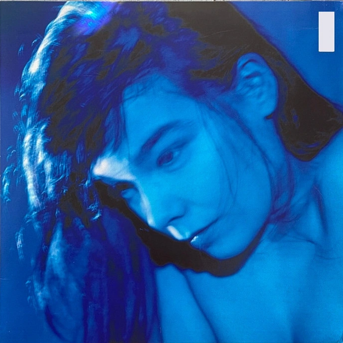 Vinyl Record Bjork - Telegram - 2LP - img.3