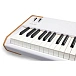 Synthesizer Arturia AstroLab 88 White - img.7