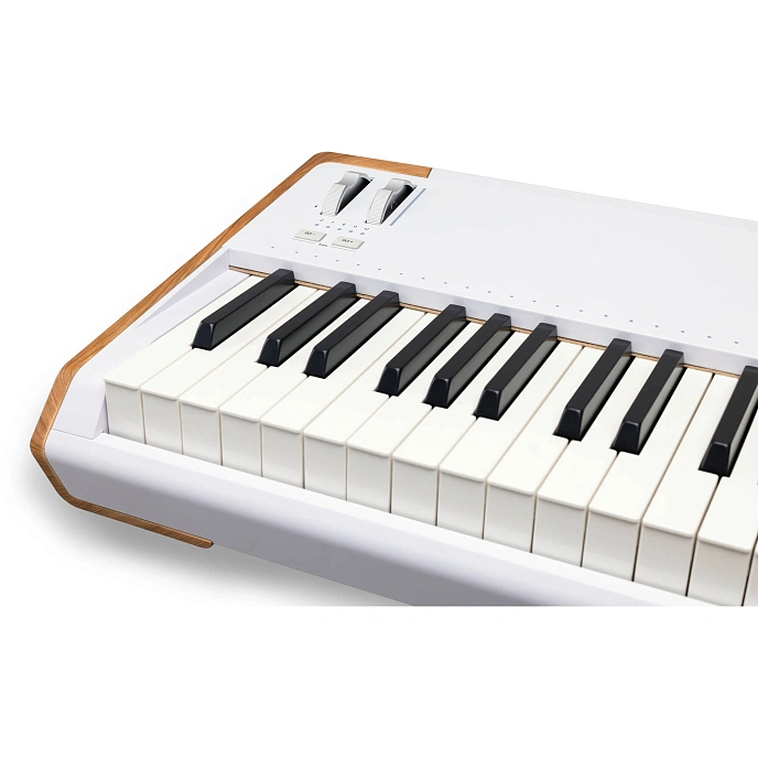 Synthesizer Arturia AstroLab 88 White - img.7