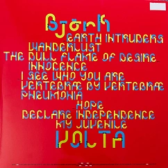 Vinyl Record Bjork - Volta - 2LP