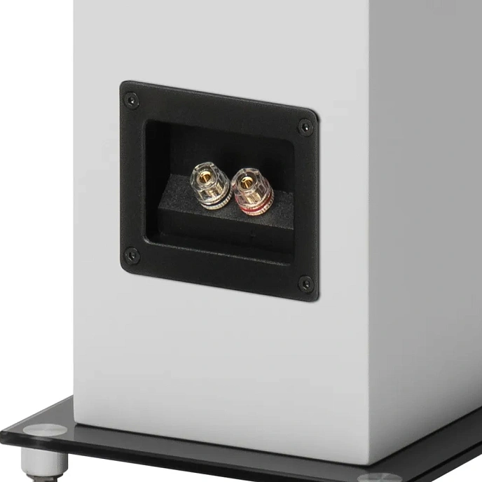 Floorstanding Speakers Pro-Ject Speaker Box 10 E Carbon Satin White - img.6
