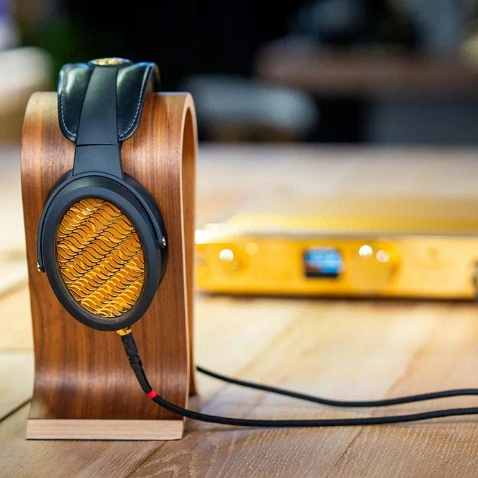 Headphone Amplifiers and DACs Warwick Acoustics Aperio Amplifier Gold - img.10