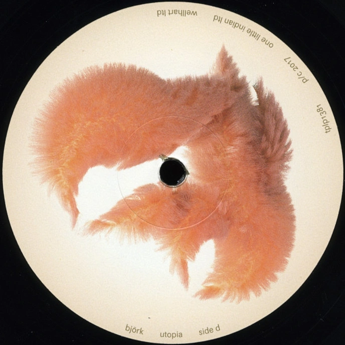 Vinyl Record Bjork - Utopia - 2LP - img.15