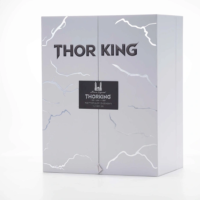 In-ear headphones Kinera ThorKing Glossy Silver - img.14