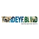 Vinyl Record Third Eye Blind - Rarities & First Drafts (colour (RSD26) LP - img.0
