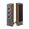 Focal Theva N2 Dark Wood