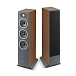 Floorstanding Speakers Focal Theva N2 Dark Wood - img.0