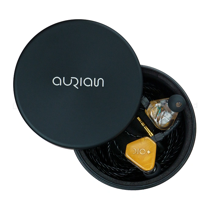 IEMs headphones Aurian Canyon Universal - img.7