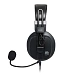 Over-ear headphones Fostex T50RP MK4G Plus Black - img.2 Over-ear headphones Fostex T50RP MK4G Plus Black - img.2