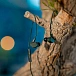 In-ear headphones Final Audio VR2000 with Controller & Mic Dark Olive - img.4