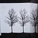 Vinyl Record AFI - Decemberunderground (Transparent Smoke) LP - img.5