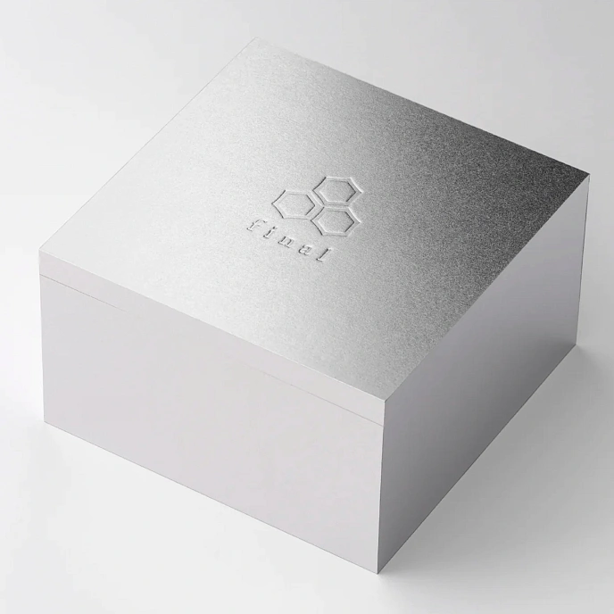 High End headphones Final Audio A10000 Silver - img.8