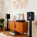 Bookshelf speakers Polk Audio Monitor XT20 Black - img.6