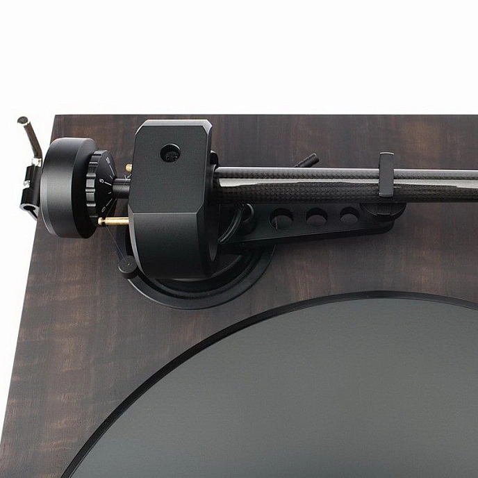 Turntable Pro-Ject 2Xperience SB 2M Silver Eucalyptus - img.5