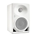 Studio monitor Neumann KH 80 DSP A W UK White - img.1