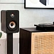 Bookshelf speakers Polk Audio Signature Elite ES15 Black - img.6