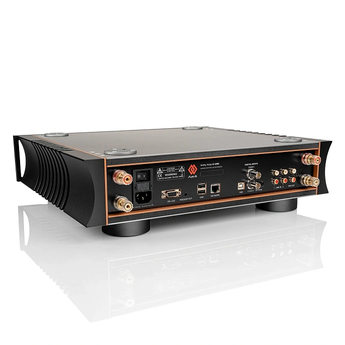 Integrated amplifier Aavik U-288 Black - img.3
