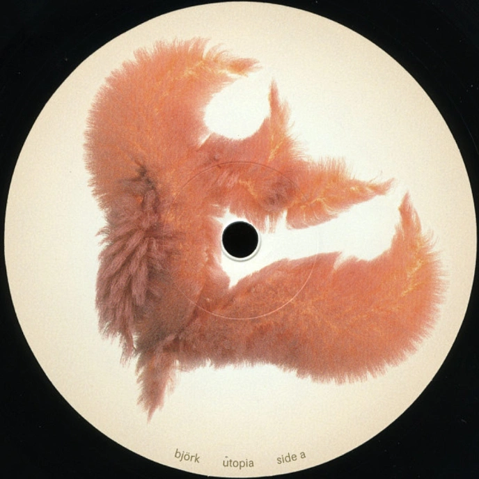 Vinyl Record Bjork - Utopia - 2LP - img.12