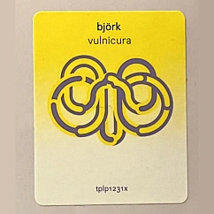 Vinyl Record Bjork - Vulnicura - 2LP
