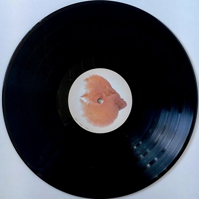 Vinyl Record Bjork - Utopia - 2LP - img.11