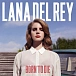 Vinyl Record Lana Del Rey – Born To Die 2LP - img.0