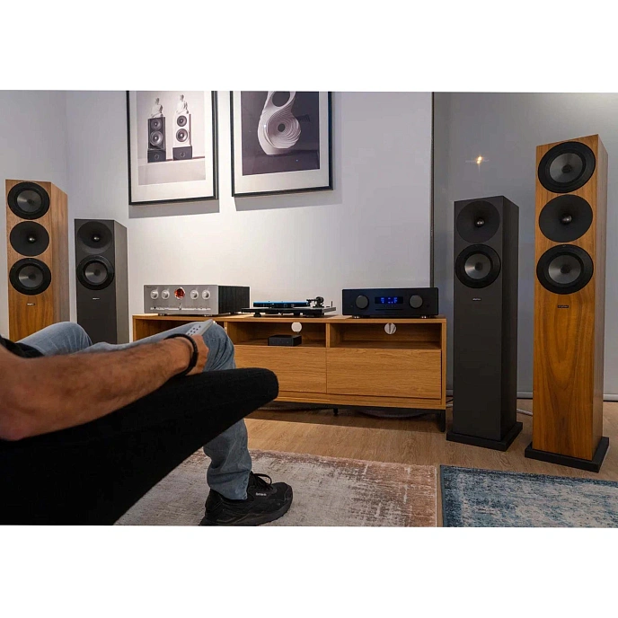 Floorstanding Speakers Amphion Argon3LS Black - img.4
