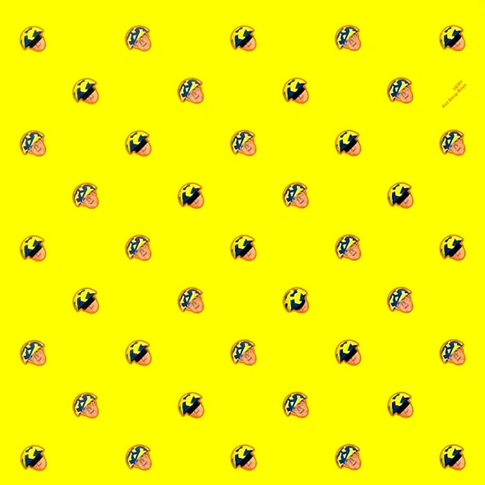 Vinyl Record Pet Shop Boys – Very LP - img.0