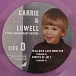 Vinyl Record Sufjan Stevens - Carrie & Lowell - (10th Anniversary Edition, Violet) 2LP - img.18