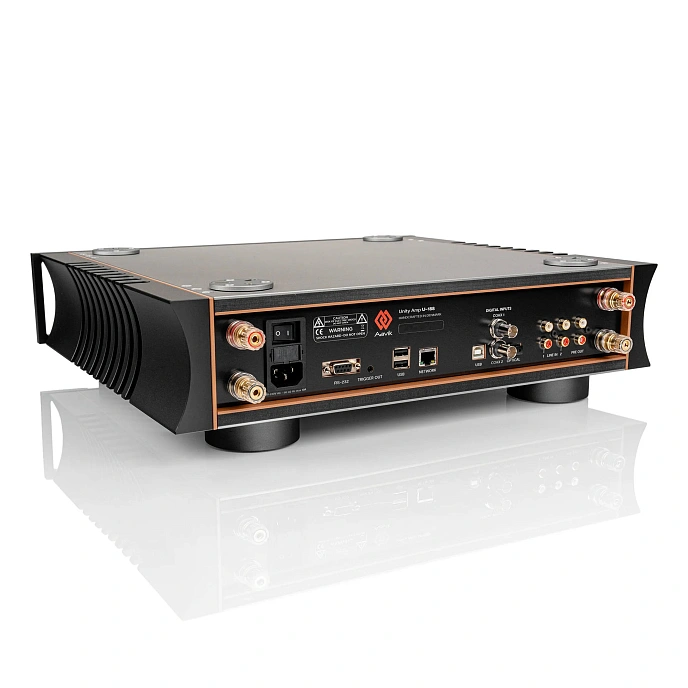 Integrated amplifier Aavik U-188 Black - img.5
