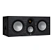 Central Channel Monitor Audio Silver C250 7G Black Oak - img.0