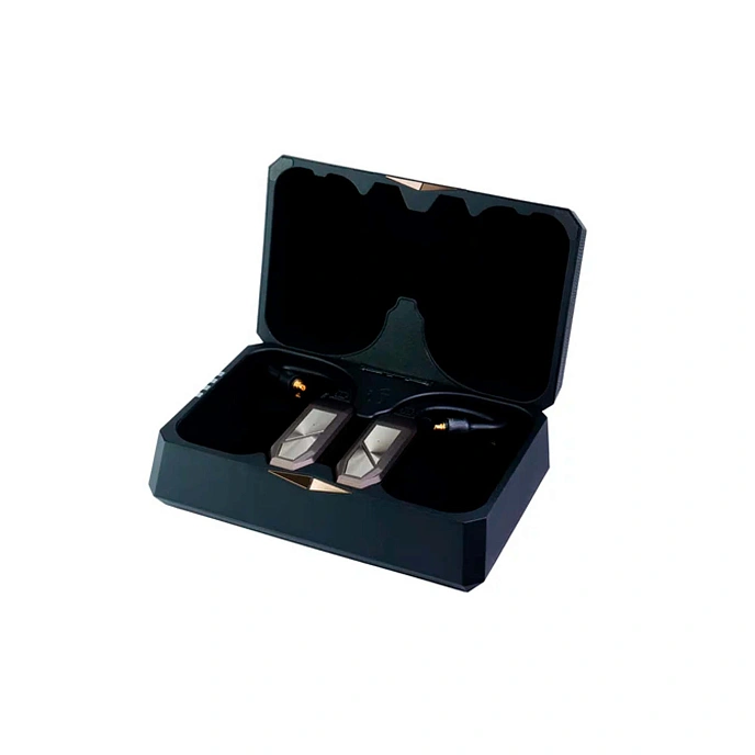 Adapter iFi Go Pod Max Brown - img.1