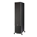 Floorstanding Speakers Polk Audio Reserve R700 Black - img.5