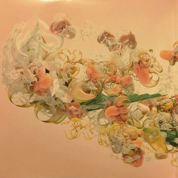 Vinyl Record Bjork - Utopia - 2LP - img.3