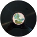 Vinyl Record Nick Drake - Pink Moon LP - img.7