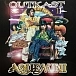 Vinyl Record OutKast - Aquemini - 3LP - img.0 Vinyl Record OutKast - Aquemini - 3LP - img.0