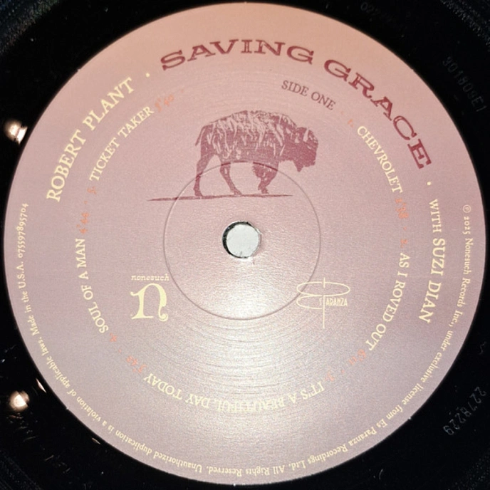 Vinyl Record Robert Plant With Suzi Dian - Saving Grace LP - img.5