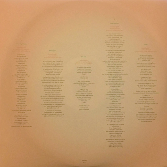 Vinyl Record Bjork - Utopia - 2LP - img.7