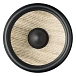 On-wall speakers Focal DOME SAT 1.0 FLAX White - img.8
